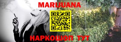 гидра Малгобек