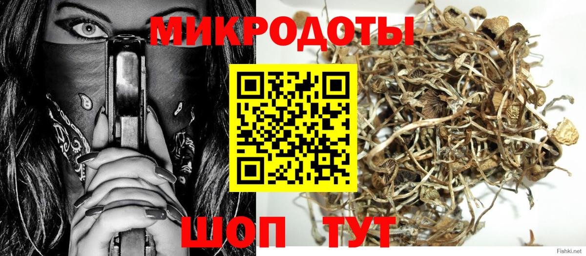 закладки  Гудермес  Галлюциногенные грибы прущие грибы  Галлюциногенные грибы прущие грибы 