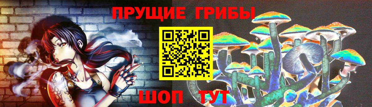Галлюциногенные грибы Cubensis Гудермес